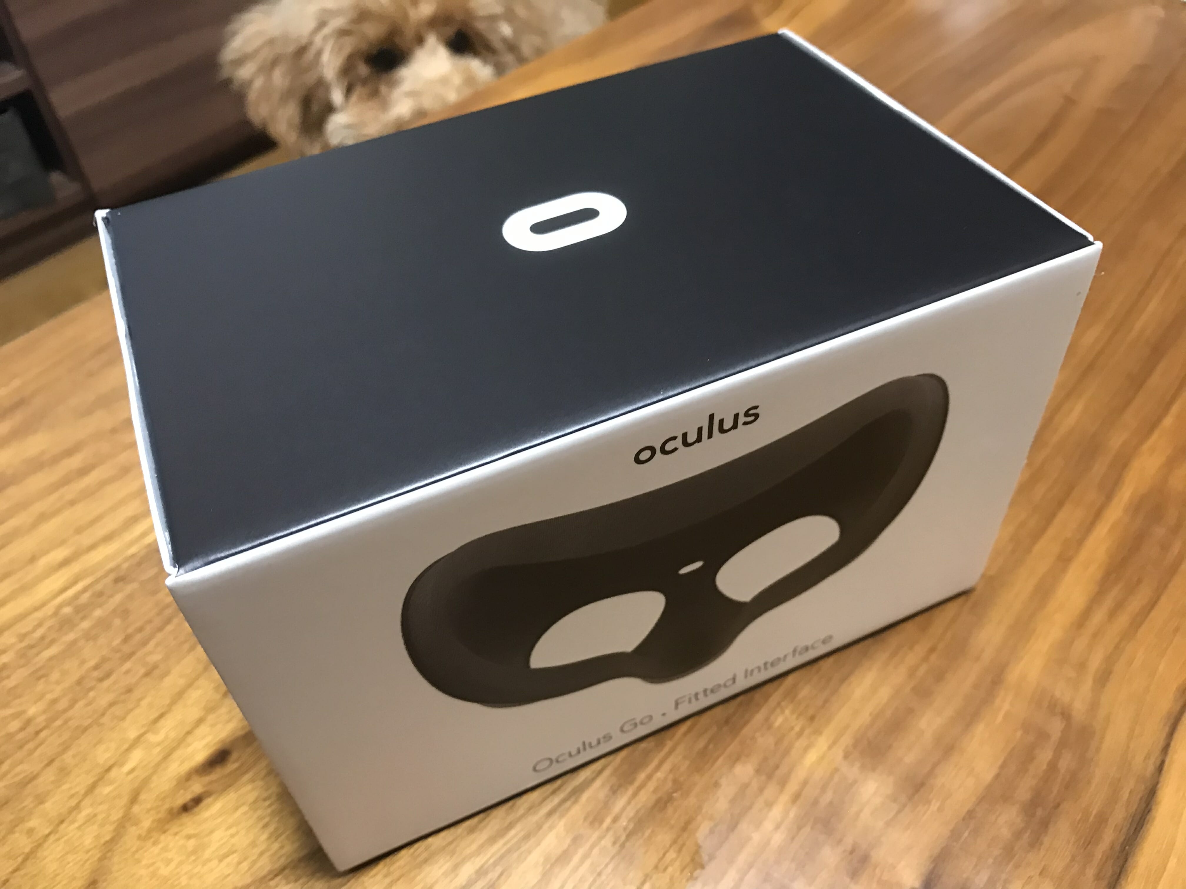 Oculus Goの追加アクセサリー「接眼パーツ（フィット）」レビュー | VR